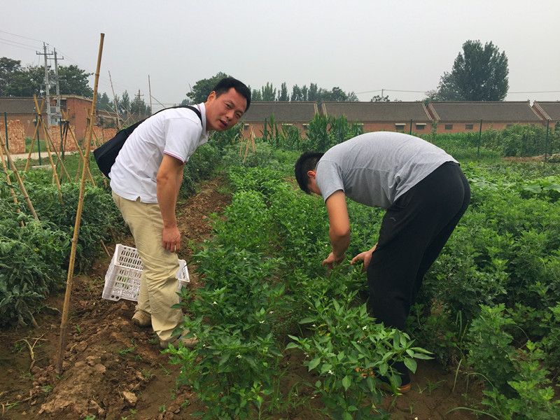 好利來郭總喊您來摘菜啦！綠色無公害，放心！